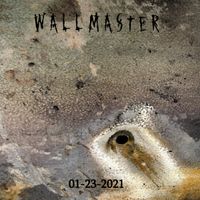 Wallmaster - 01​-​23​-​2021