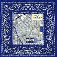 Teller Bank$ - White People Stole My House : The Album