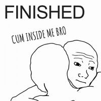 Finished - Cum Inside Me Bro