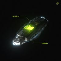 Ray Volpe - LIVE ONLY