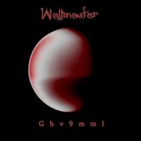 Wallmaster - Ghv9mml