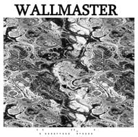Wallmaster - '​​​,​​​'​​​,​​​,​​​,​​​,​​​.​​​.​​​,​​​,​​​,​​​'';​​​.​​​,​​​,​​​,​​​,​​​'