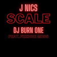 J NICS - Scale