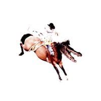 The Callous Daoboys - Discography 2016​-​2018