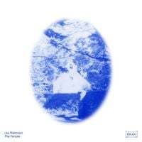 Leo Robinson - The Temple