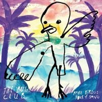 The Bug Club - Rare Birds: Hour of Song