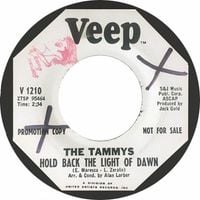 The Tammys - Hold Back The Light Of Dawn / Gypsy