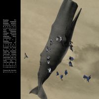 Mothware - Please Be Gentle