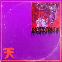 SKINDANCE - CREEP TAPES: 天