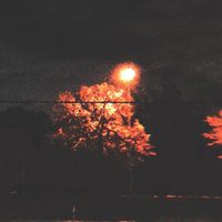 Sadness / Along Memories - springnight moment