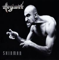 Allegiance - Skinman