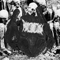 Phyllomedusa - Bitch Froat