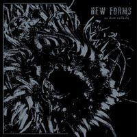 New Forms - As Dust Collects