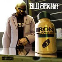 Blueprint - Iron and Niacin