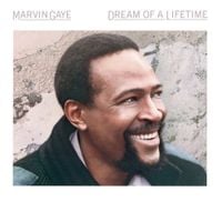 Marvin Gaye - Dream of a Lifetime