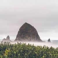 Gooseworx - The Ridge