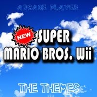 Arcade Player - New Super Mario Bros. Wii, The Themes