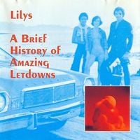 Lilys - A Brief History of Amazing Letdowns