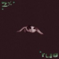 Rug - 2%