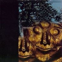 The Wooden Cupboard - Boiling the Animal in the Sky