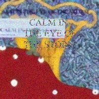 Facepalm Man - CALM IN THE EYE OF THE STORM