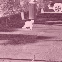 Nic.k - at the moment