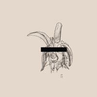 Pessimist - Burundanga