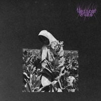 Yellow Eyes - Master's Murmur
