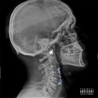 Hiphopologist - Capsule