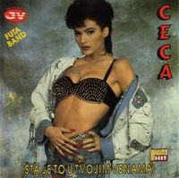 Ceca & Futa Band - &Scaron;ta Je To U Tvojim Venama