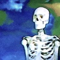 BONES - Unrendered