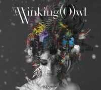 The Winking Owl - BLOOMING