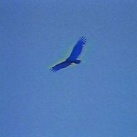HOME - Two Lines Meeting On An Infinite Plane