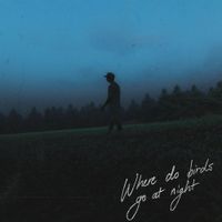 William Singe - Where do birds go at night?