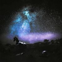 YO&Ugrave;N - Unic&oacute;rnio