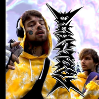 beastboy - GEiSTESKRA$$