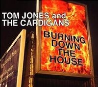 Tom Jones - Burning Down the House