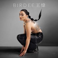 BIRDEE 王煒 - On My Own