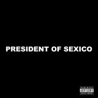 STEIN27 - PRESIDENT OF SEXICO