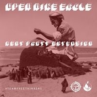 Open Mike Eagle - Rent Party Extension