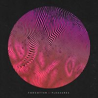 Findlay - Forgotten Pleasure