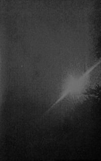 Widdiful - Demo I