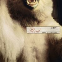 Pond - Rock Collection