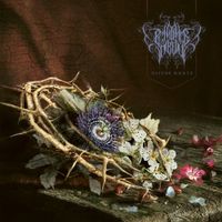 P&eacute;nitence Onirique - Nature Morte