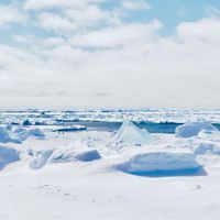 Gl&aring;sbird - Antarctica
