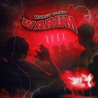 t-low - Warum