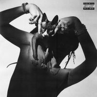 식케이 [Sik-K] - HEADLINER (Deluxe)