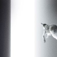 Panoram - Keep Looking Where The Light Comes From