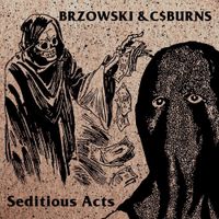 BRZOWSKI & C MONEY BURNS - Seditious Acts