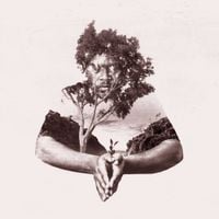 JK-47 - Revision For Regrowth